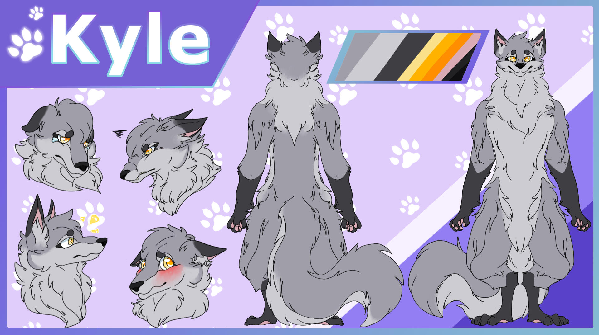 reference sheet of an anthro wolf character
